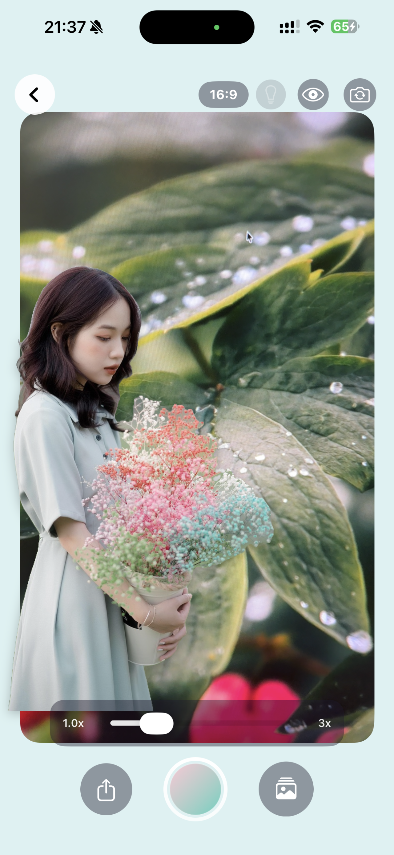 Visual Snap 宣传图 5